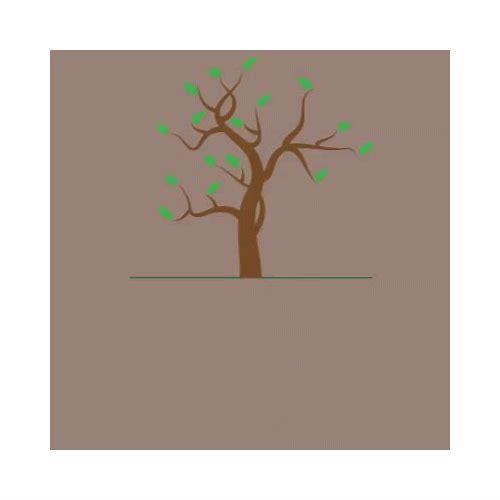 从种子到大树:MG动画展示树木生长的过程