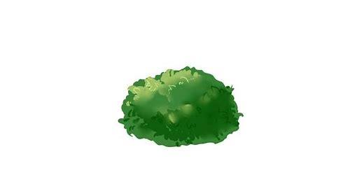 植物MG动画:视觉盛宴中的科学与艺术