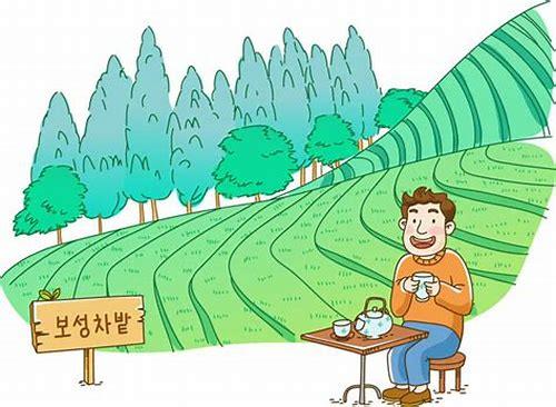 茶动画MG:艺术与文化的完美融合