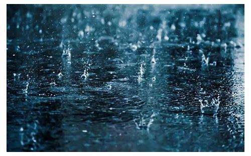 雨滴轻落:一场视觉盛宴的MG动画