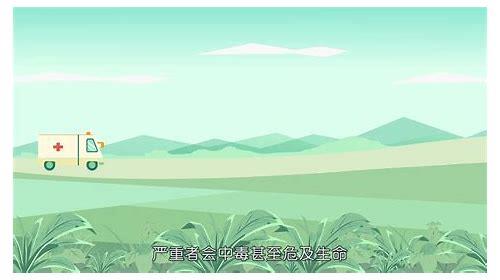 MG船动画:海浪中的创意航程