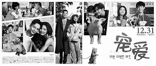 深圳专题片:见证奇迹之城的崛起