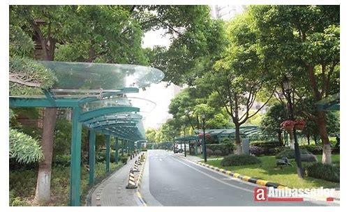 徐汇新篇章:探索历史与未来的交汇点