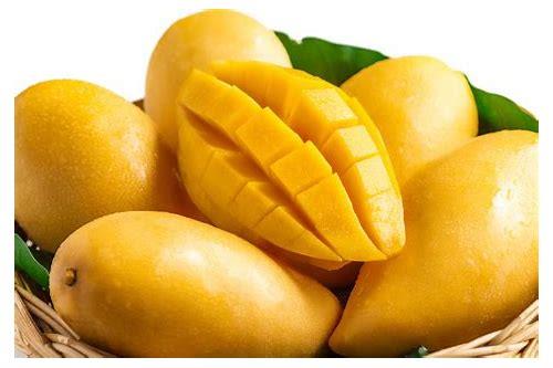 芒果产品拍摄:从构思到呈现