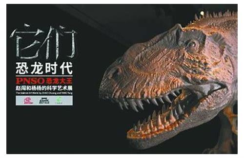深圳做宣传片:展现城市魅力,助力品牌腾飞