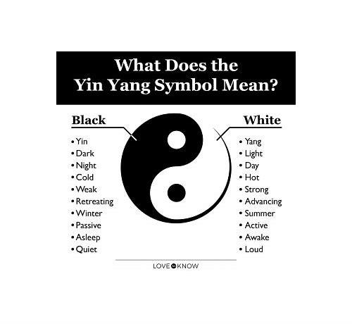 短视频运营李阳:一手生活,一手爱