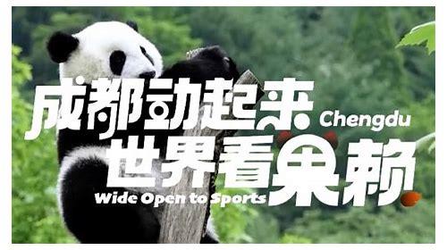 成都短视频代运营公司排名第一名的探秘之旅