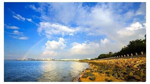 深圳湾拍鸟攻略简介