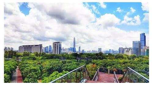 深圳适合室内拍照的地方简介