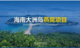 海南大洲岛燕窝项目商业计划书