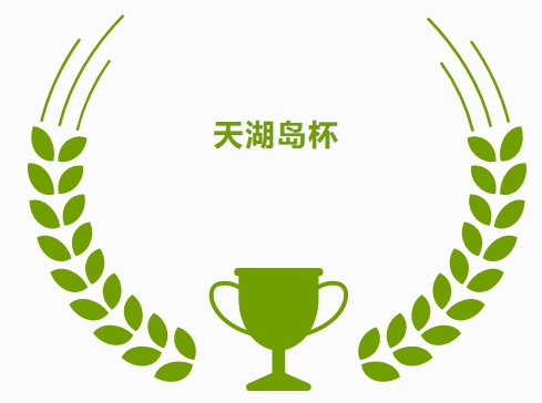 妙笔绘湖岛，炫彩创家园——“天湖岛杯···