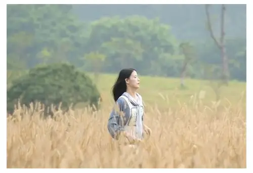 深圳风景宣传片拍摄基地概述