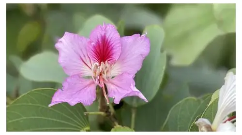 深圳拍摄宣传片收费标准全解析：影响价格的关键因素与避坑指南