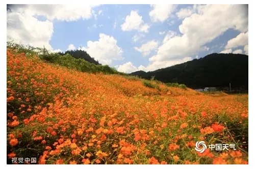 深圳宣传片拍摄报价全解析:如何精准把控预算与品质?