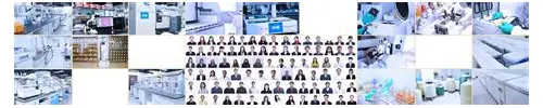 深圳三维宣传片团队名单概述